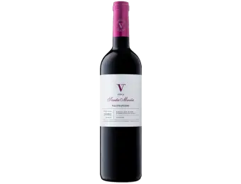Valtravieso Finca Santa Maria 2020. Ribera del Duero
